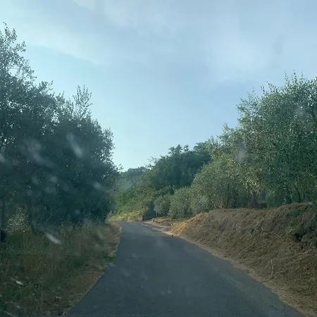 Il Gatto E La Volpe 2 Collodi